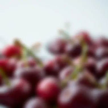 Magnificent Nutritional Profile of Cherries: An In-Depth Analysis