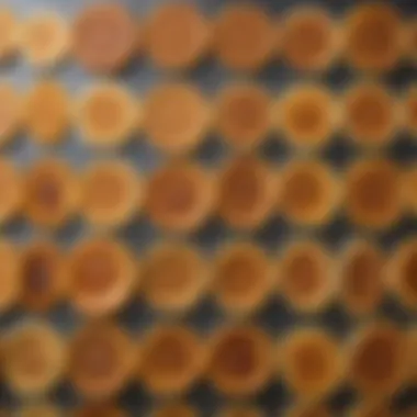 Diverse Designs of Pancake Rings Assorted pancake rings showcasing various designs