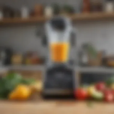 A Comprehensive Overview of the Amazon Vitamix E310 Blender Summary