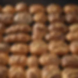 A variety of bread loaves on display at Aldi