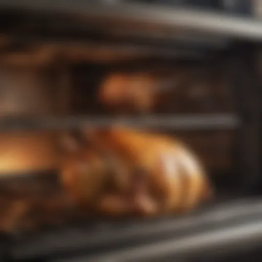 Oven with chicken baking inside