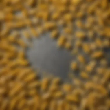 Comparison of different corn peelers laid out for analysis