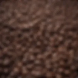 Rich dark roast coffee beans showcasing their deep color and texture