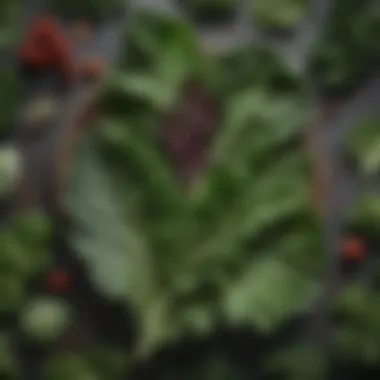 Leafy Greens for Optimal Health A variety of leafy greens packed with nutrients