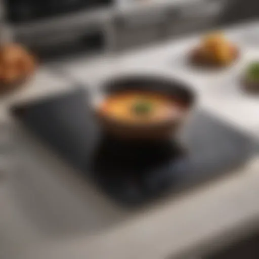 A sleek induction cooktop showcasing modern design.