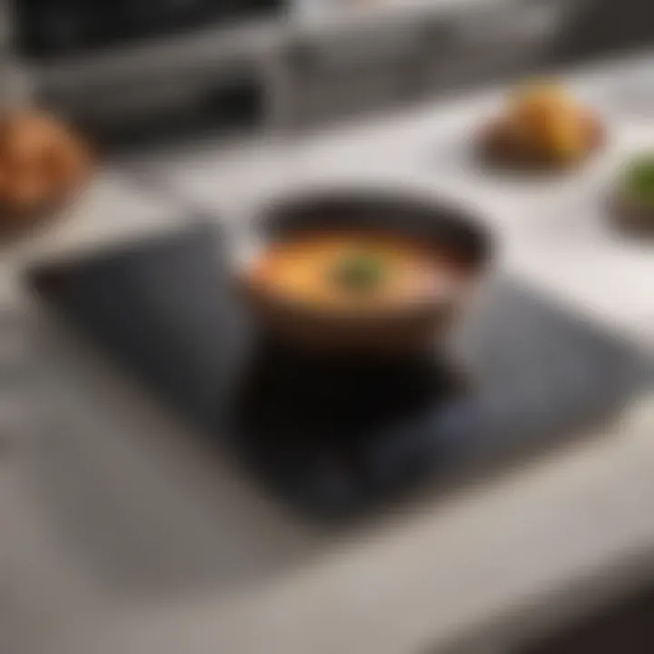 A sleek induction cooktop showcasing modern design.