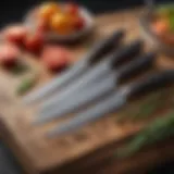 A premium kitchen knife set showcasing various styles and sizes of blades