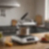 Elegant design of the Bonjour professional cooking torch showcasing its sleek finish and ergonomic grip.