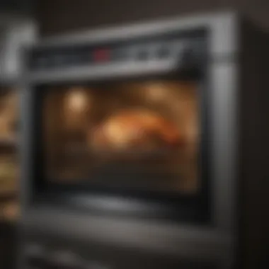 Modern cheap convection oven showcasing design and features