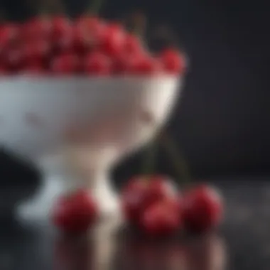 An elegant dish featuring cherries as the main ingredient