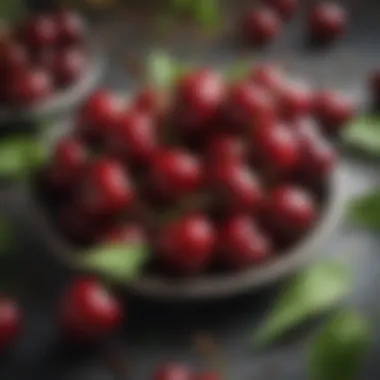 A close-up of cherries with a backdrop of fresh herbs and spices