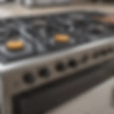 User-friendly control panel of a gas range