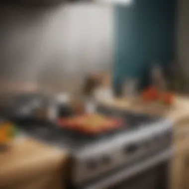 Demonstrating proper usage of Frywall stovetop guard in a vibrant kitchen