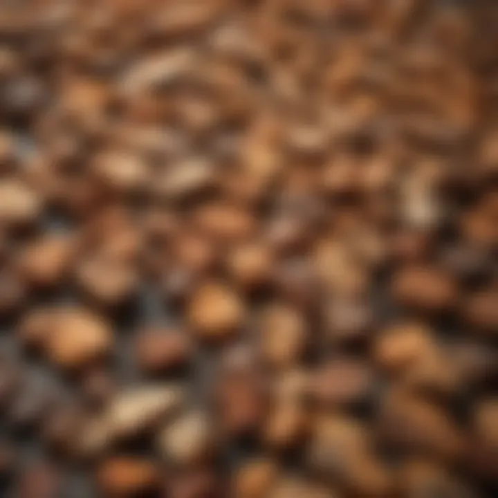 Variety of wood types used for different flavors