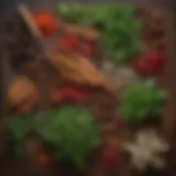 A close-up of vibrant herbs and spices arranged elegantly on a wooden surface.