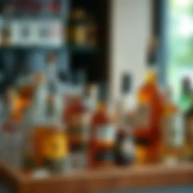 Curated Spirit Collection Variety of premium spirits displayed on a well-organized shelf