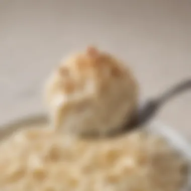 Close-up of a spoonful of rice pudding showcasing its texture