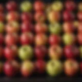 A selection of fresh apples in various colors and sizes, showcasing diversity.