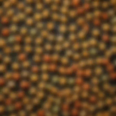Diverse Pasta Options Close-up of various pasta shapes and colors