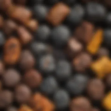 Variety of Grill Fuels An array of grill fuel types including charcoal, gas, and electric options
