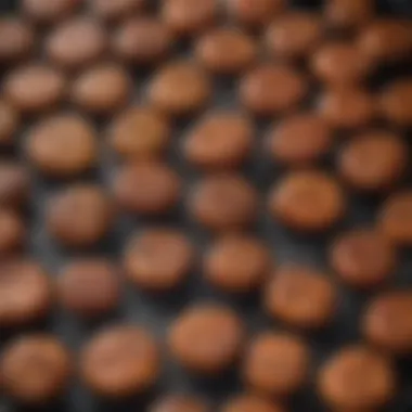 Grill Material Options A selection of high-quality materials suitable for grill construction