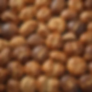 An array of diverse bread types baked in different machines