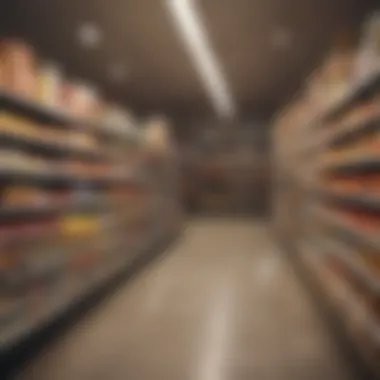 Smart Grocery Shopping List A well-organized grocery list with affordable items