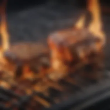 Intense Heat from Gas Grilling Robust gas grill emitting flames, highlighting intense heat