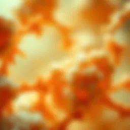 Collagen structure visualized under microscopy