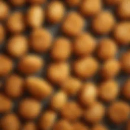 Detailed view of McDonald's Chicken Nuggets highlighting texture