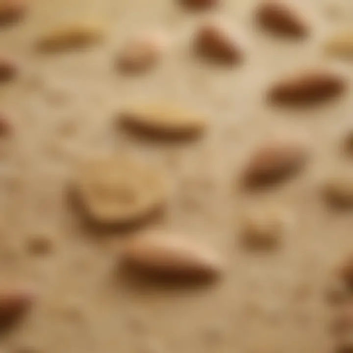 Close-up of almond flour showcasing its texture and color.