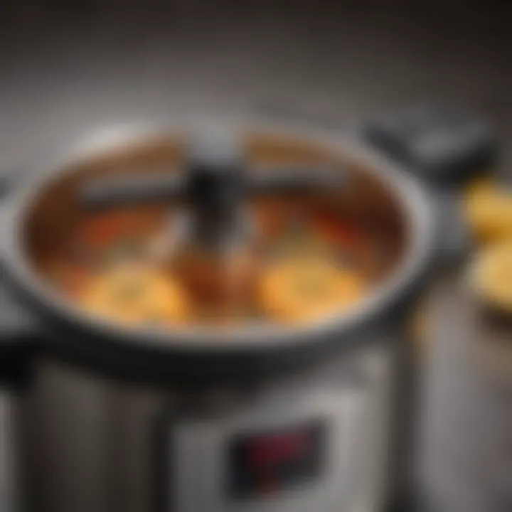 Cross-section view of pressure cooker showcasing its intricate mechanisms