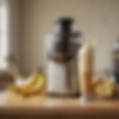User-Friendly Features of a Banana Ice Cream Maker User-friendly features of a banana ice cream maker illustrated
