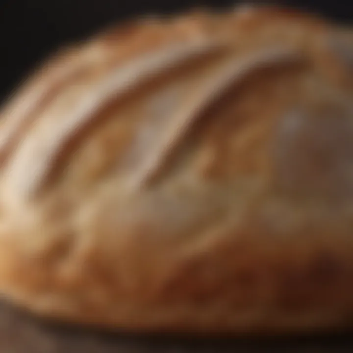 Close-up of a perfectly baked sourdough