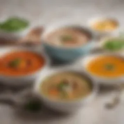 A variety of flavorful broths in elegant bowls