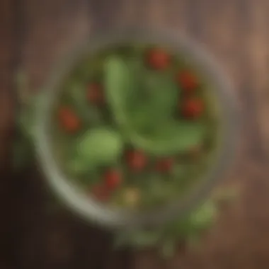 A close-up of a herbal infusion with fresh ingredients