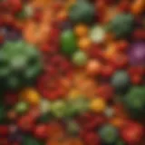 Colorful assortment of fresh vegetables and fruits