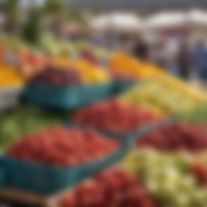 Vibrant farmers' market with fresh produce