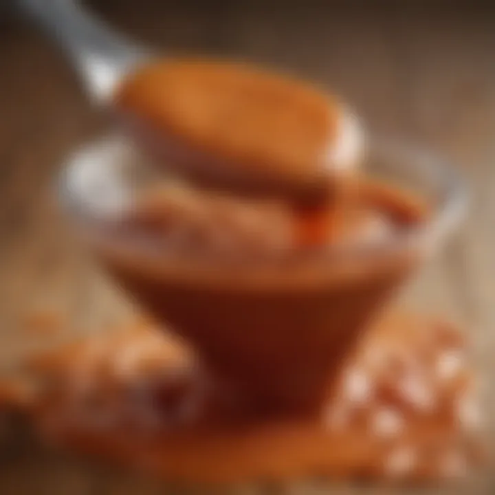 Close-up of a dipping sauce highlighting its glossy texture and rich color.