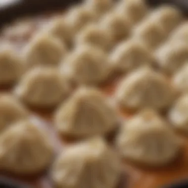 Close-up of filled dumplings before steaming