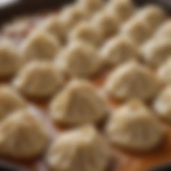 Close-up of filled dumplings before steaming