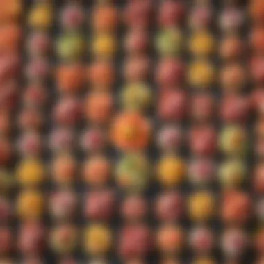 Assortment of Tuna Snack Creations Colorful assortment of tuna snacks on a plate