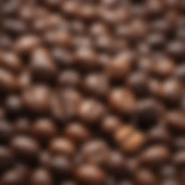 Close-up of different espresso beans varieties