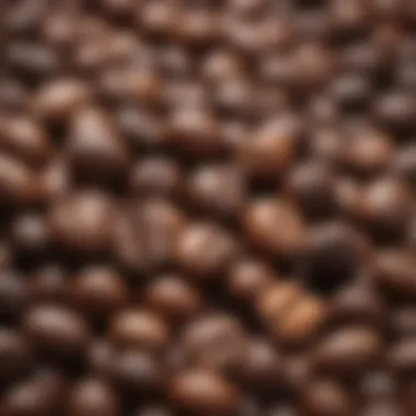 Diverse Espresso Beans for Unique Flavors Close-up of different espresso beans varieties