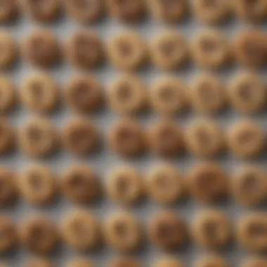 Keto-Friendly Ingredients for FlavCity Cookie Dough An assortment of keto-friendly ingredients used in FlavCity Cookie Dough, emphasizing quality and health