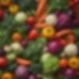 A colorful array of low carb vegetables