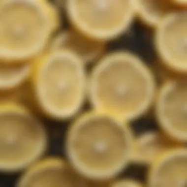 A close-up of lemon slices revealing their juicy pulp and zest