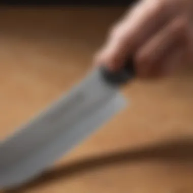 Ergonomic Handle of Foxel Knives Detail shot of Foxel knife handle illustrating ergonomic design