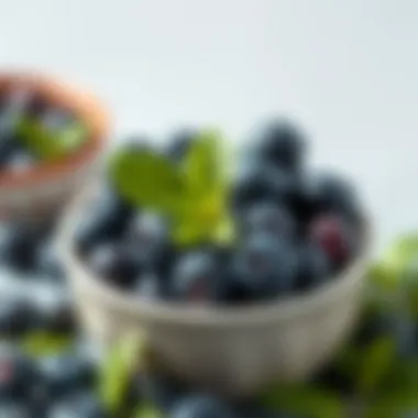 A fresh bowl of blueberries, highlighting their antioxidant benefits