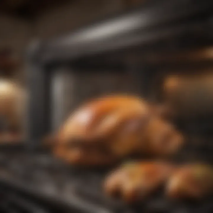 Maintenance tips for long-lasting rotisserie oven performance